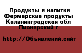 Продукты и напитки Фермерские продукты. Калининградская обл.,Пионерский г.